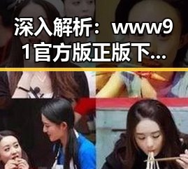 深入解析：www91官方版正版下载的现状与选择