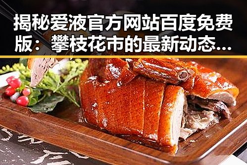 揭秘爱液官方网站百度免费版：攀枝花市的最新动态与分析