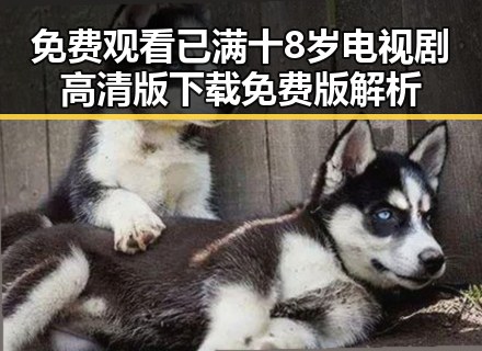免费观看已满十8岁电视剧高清版下载免费版解析