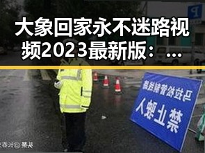 大象回家永不迷路视频2023最新版：感人瞬间引发关注