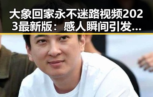 大象回家永不迷路视频2023最新版：感人瞬间引发关注