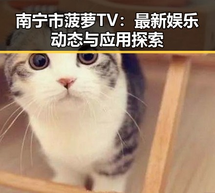 南宁市菠萝TV：最新娱乐动态与应用探索