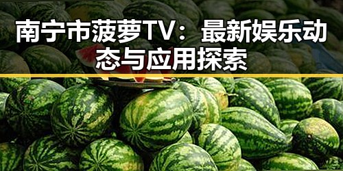 南宁市菠萝TV：最新娱乐动态与应用探索