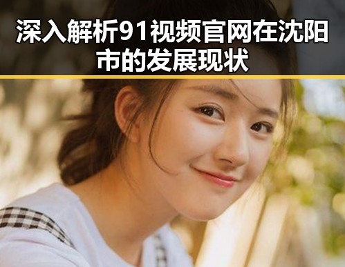 深入解析91视频官网在沈阳市的发展现状