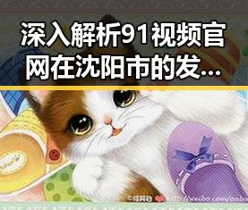深入解析91视频官网在沈阳市的发展现状