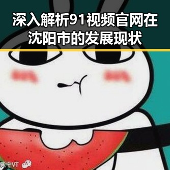 深入解析91视频官网在沈阳市的发展现状