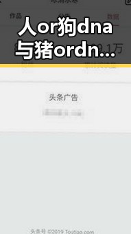 人or狗dna与猪ordna的配合与防治官方版:探讨核心技术与实践应用