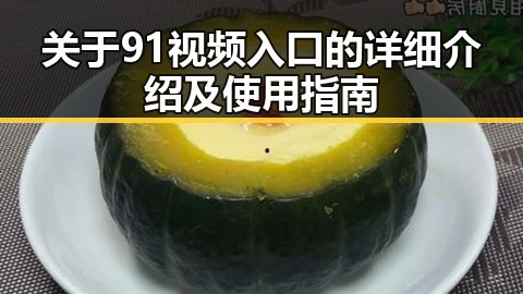 关于91视频入口的详细介绍及使用指南
