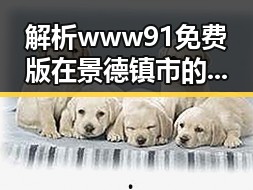 解析www91免费版在景德镇市的广泛应用
