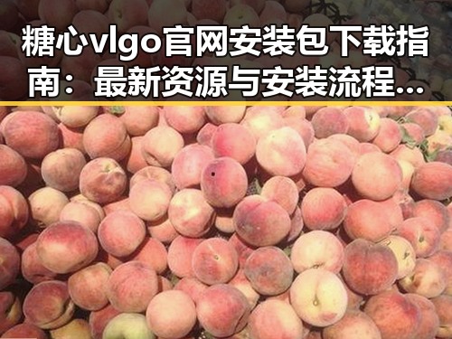 糖心vlgo官网安装包下载指南:最新资源与安装流程解析