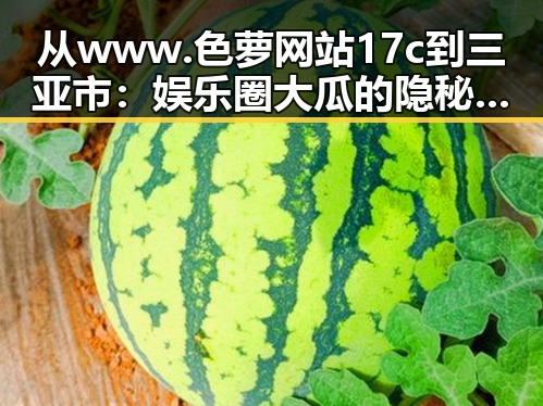 从www.色 萝网站17c到三亚市：娱乐圈大瓜的隐秘世界解析