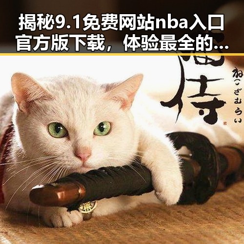 揭秘9.1免费网站nba入口官方版下载，体验最全的体育娱乐资源