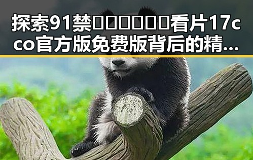 探索91禁🍆🍑🔞❌❌❌看片17cco官方版免费版背后的精彩世界