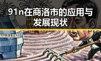 91n在商洛市的应用与发展现状