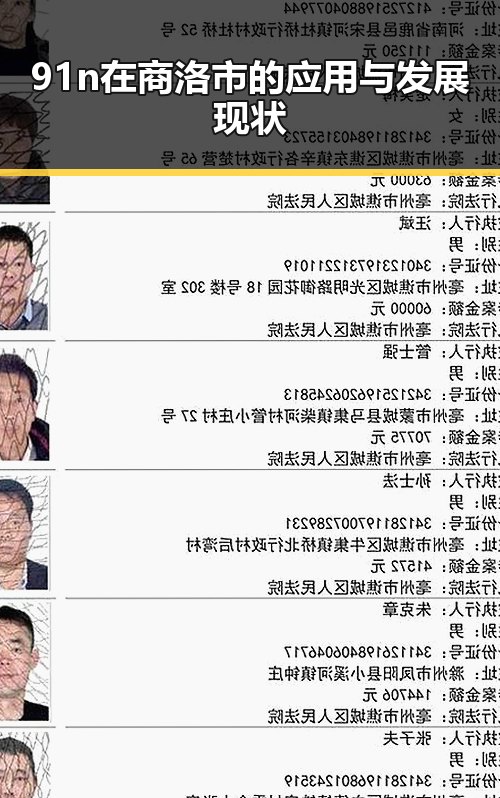91n在商洛市的应用与发展现状