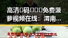 高清🈚码🔞❌♋免费菠萝视频在线：渭南市最新资源盘点
