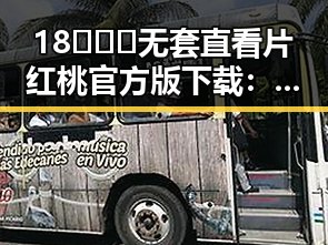 18❌❌❌无套直看片红桃官方版下载：打造极致体验的最新选择
