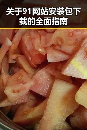 关于91网站安装包下载的全面指南