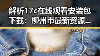 解析17c在线观看安装包下载：柳州市最新资源与安全指南