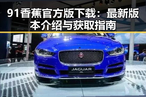 91香蕉官方版下载：最新版本介绍与获取指南