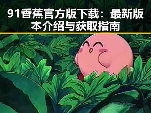 91香蕉官方版下载：最新版本介绍与获取指南