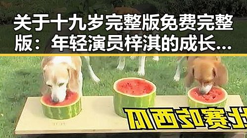 关于十九岁完整版免费完整版：年轻演员梓淇的成长之路
