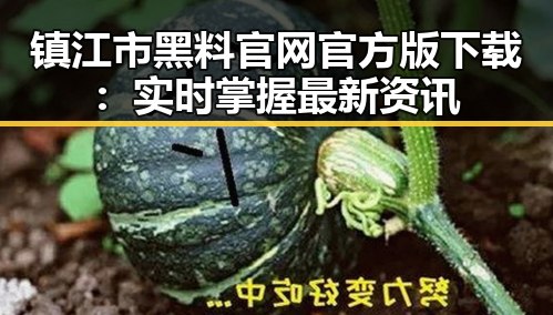 镇江市黑料 官网官方版下载:实时掌握最新资讯