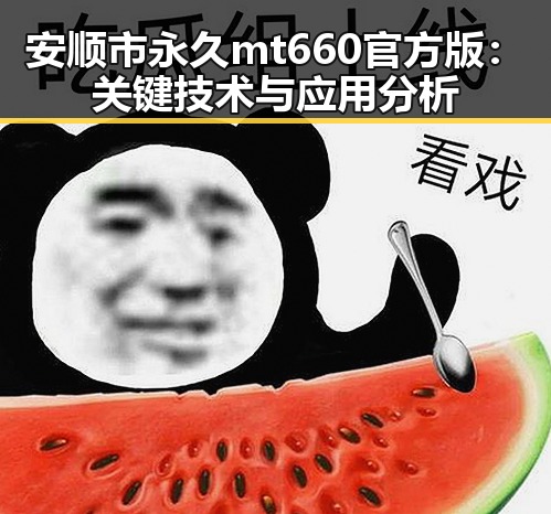 安顺市永久mt660官方版：关键技术与应用分析