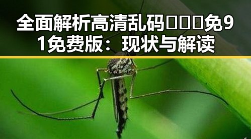 全面解析高清乱码🔞❌♋免91免费版：现状与解读