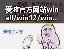 爱液官方网站winall/win12/win10/百度：最新动态与趋势分析