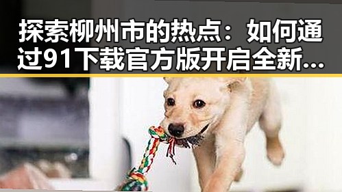 探索柳州市的热点:如何通过91下载官方版开启全新体验